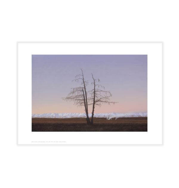 Ballet Tree, Becks